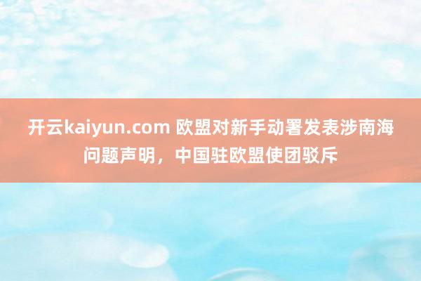 开云kaiyun.com 欧盟对新手动署发表涉南海问题声明，中国驻欧盟使团驳斥
