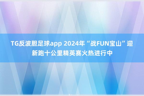 TG反波胆足球app 2024年“战FUN宝山”迎新跑十公里精英赛火热进行中