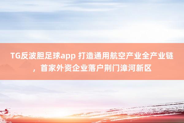 TG反波胆足球app 打造通用航空产业全产业链，首家外资企业落户荆门漳河新区