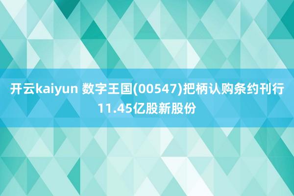 开云kaiyun 数字王国(00547)把柄认购条约刊行11.45亿股新股份