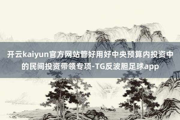 开云kaiyun官方网站管好用好中央预算内投资中的民间投资带领专项-TG反波胆足球app