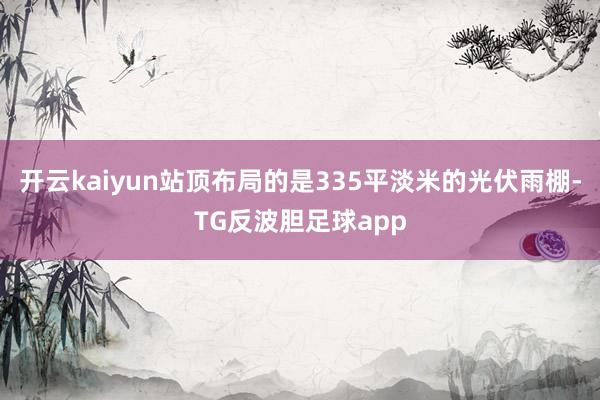 开云kaiyun站顶布局的是335平淡米的光伏雨棚-TG反波胆足球app