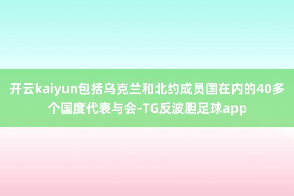 开云kaiyun包括乌克兰和北约成员国在内的40多个国度代表与会-TG反波胆足球app