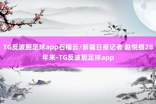 TG反波胆足球app石榴云/新疆日报记者 赵悦摄28年来-TG反波胆足球app