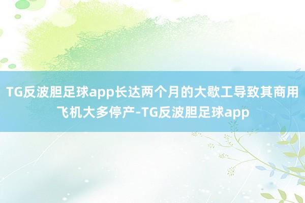 TG反波胆足球app长达两个月的大歇工导致其商用飞机大多停产-TG反波胆足球app