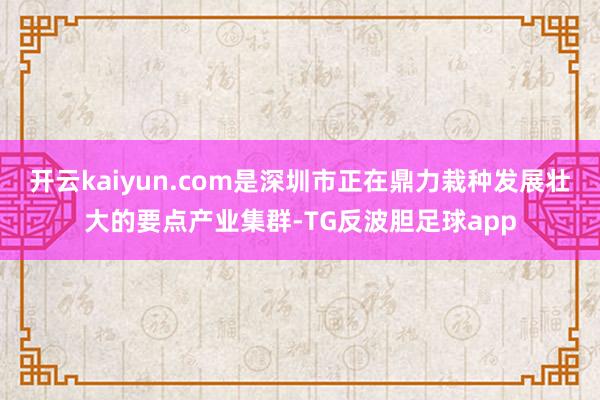 开云kaiyun.com是深圳市正在鼎力栽种发展壮大的要点产业集群-TG反波胆足球app