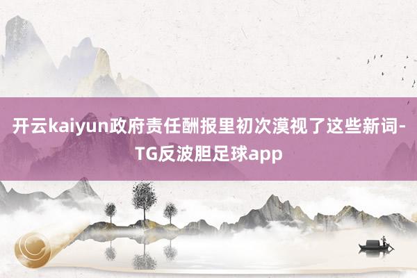 开云kaiyun政府责任酬报里初次漠视了这些新词-TG反波胆足球app