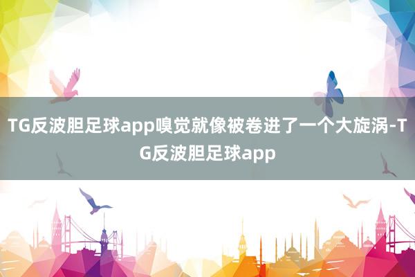 TG反波胆足球app嗅觉就像被卷进了一个大旋涡-TG反波胆足球app