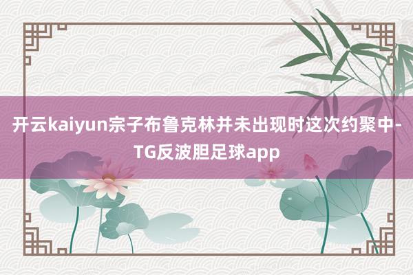 开云kaiyun宗子布鲁克林并未出现时这次约聚中-TG反波胆足球app