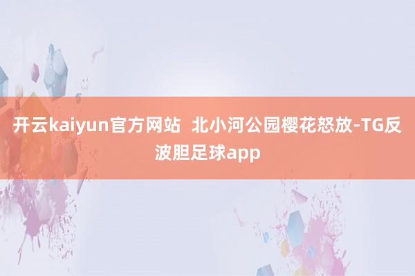 开云kaiyun官方网站  北小河公园樱花怒放-TG反波胆足球app