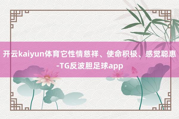 开云kaiyun体育它性情慈祥、使命积极、感觉聪惠-TG反波胆足球app