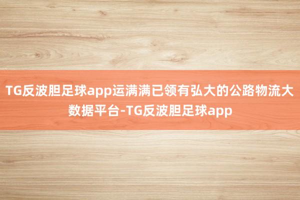 TG反波胆足球app运满满已领有弘大的公路物流大数据平台-TG反波胆足球app