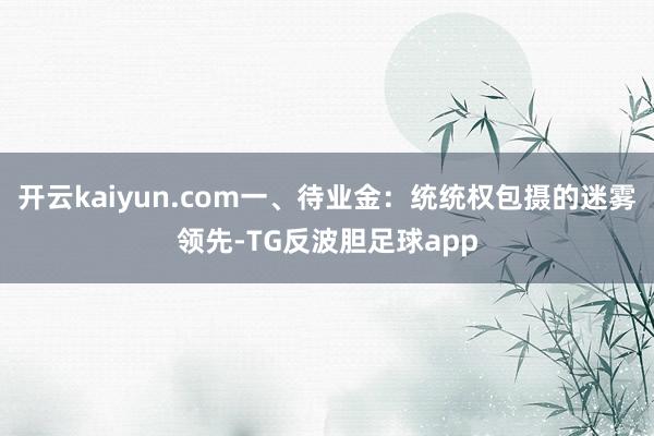开云kaiyun.com一、待业金：统统权包摄的迷雾领先-TG反波胆足球app