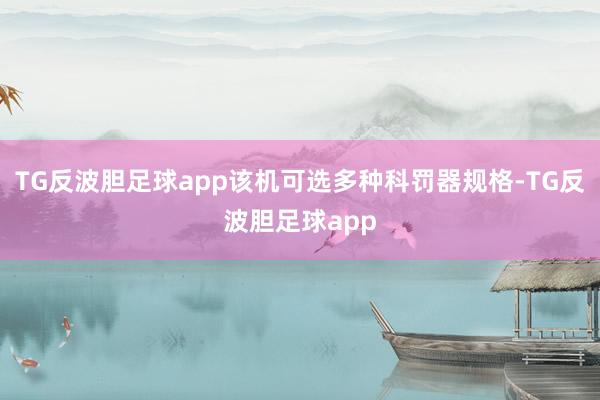 TG反波胆足球app该机可选多种科罚器规格-TG反波胆足球app