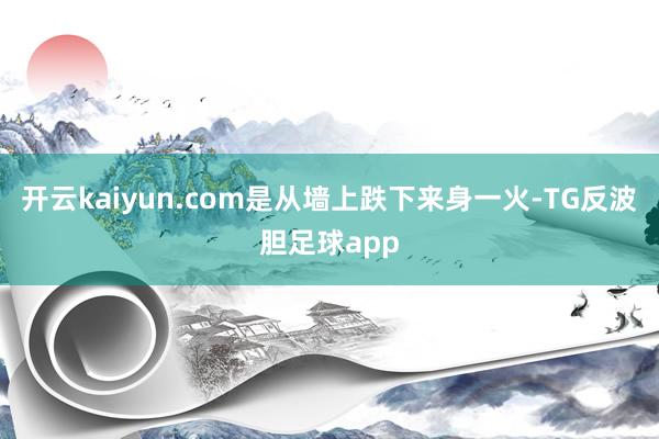 开云kaiyun.com是从墙上跌下来身一火-TG反波胆足球app