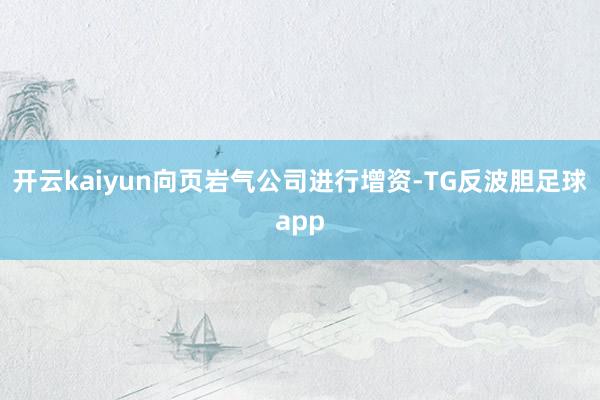开云kaiyun向页岩气公司进行增资-TG反波胆足球app