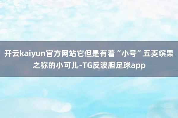 开云kaiyun官方网站它但是有着“小号”五菱缤果之称的小可儿-TG反波胆足球app