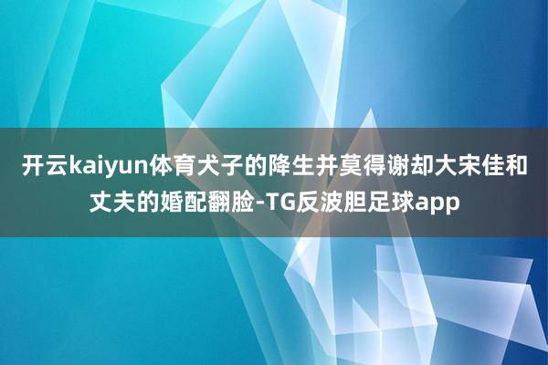 开云kaiyun体育犬子的降生并莫得谢却大宋佳和丈夫的婚配翻脸-TG反波胆足球app