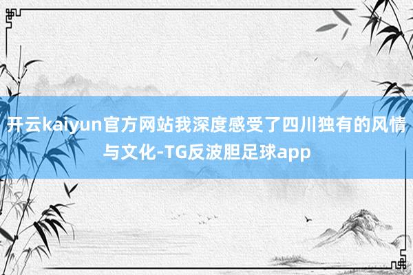 开云kaiyun官方网站我深度感受了四川独有的风情与文化-TG反波胆足球app