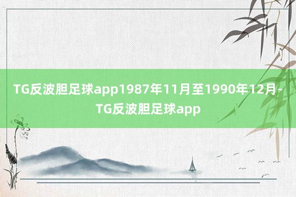 TG反波胆足球app1987年11月至1990年12月-TG反波胆足球app