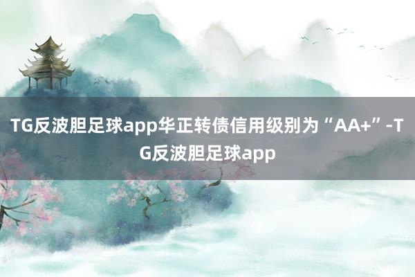 TG反波胆足球app华正转债信用级别为“AA+”-TG反波胆足球app