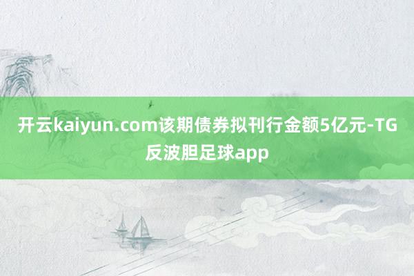 开云kaiyun.com该期债券拟刊行金额5亿元-TG反波胆足球app