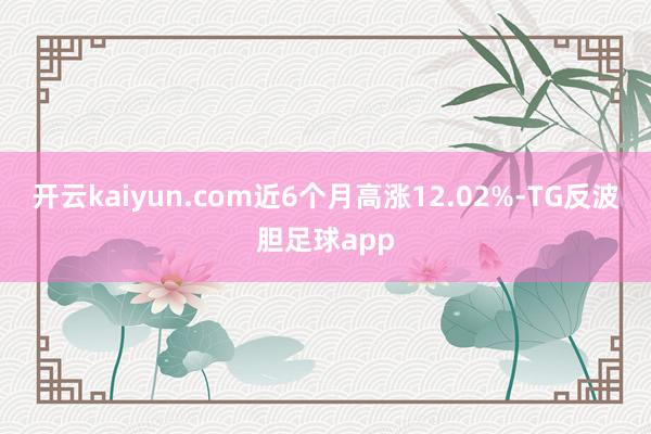 开云kaiyun.com近6个月高涨12.02%-TG反波胆足球app
