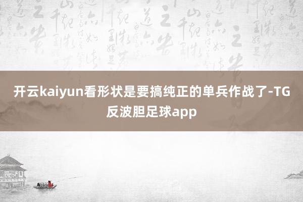 开云kaiyun看形状是要搞纯正的单兵作战了-TG反波胆足球app