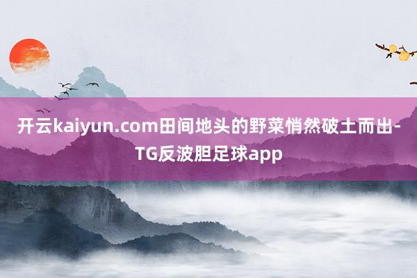 开云kaiyun.com田间地头的野菜悄然破土而出-TG反波胆足球app