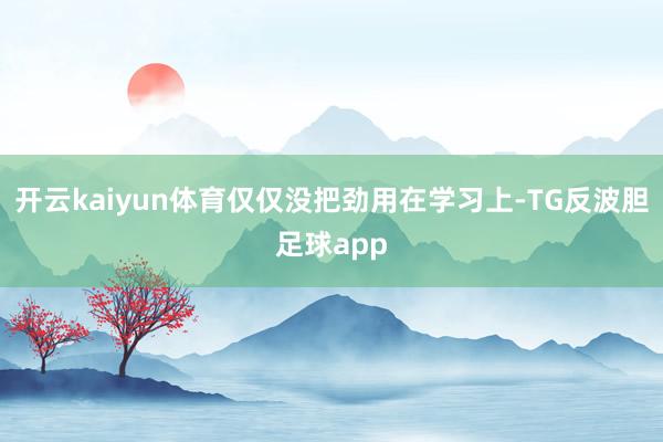 开云kaiyun体育仅仅没把劲用在学习上-TG反波胆足球app