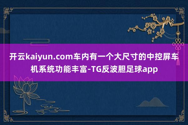 开云kaiyun.com车内有一个大尺寸的中控屏车机系统功能丰富-TG反波胆足球app