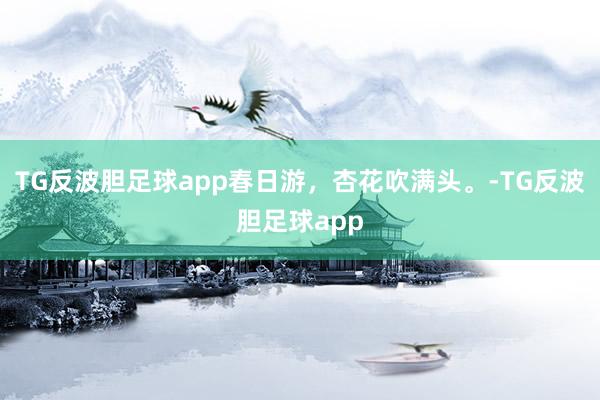 TG反波胆足球app春日游，杏花吹满头。-TG反波胆足球app