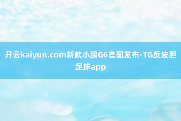 开云kaiyun.com新款小鹏G6官图发布-TG反波胆足球app