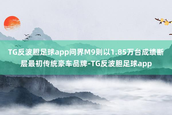 TG反波胆足球app问界M9则以1.85万台成绩断层最初传统豪车品牌-TG反波胆足球app