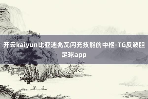 开云kaiyun比亚迪兆瓦闪充技能的中枢-TG反波胆足球app