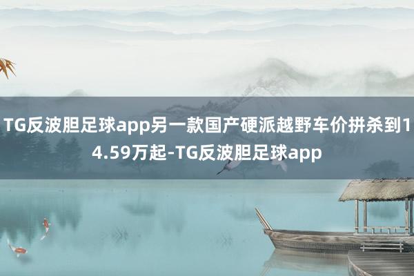 TG反波胆足球app另一款国产硬派越野车价拼杀到14.59万起-TG反波胆足球app