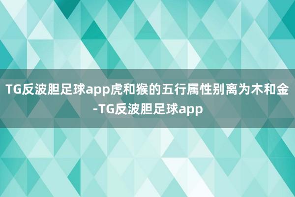 TG反波胆足球app虎和猴的五行属性别离为木和金-TG反波胆足球app