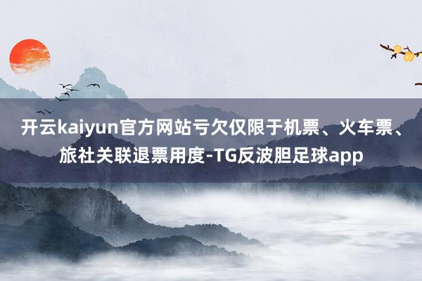 开云kaiyun官方网站亏欠仅限于机票、火车票、旅社关联退票用度-TG反波胆足球app