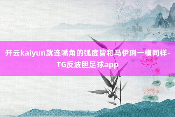 开云kaiyun就连嘴角的弧度皆和马伊琍一模同样-TG反波胆足球app