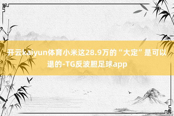 开云kaiyun体育小米这28.9万的“大定”是可以退的-TG反波胆足球app
