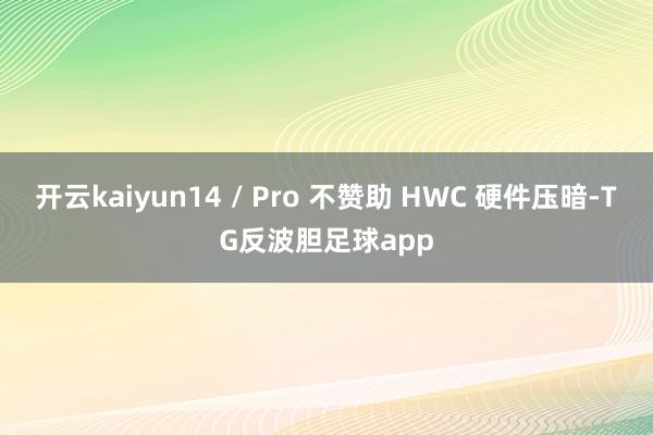 开云kaiyun14 / Pro 不赞助 HWC 硬件压暗-TG反波胆足球app