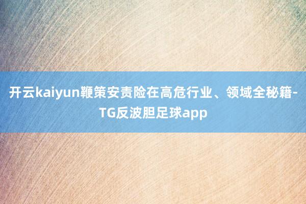 开云kaiyun鞭策安责险在高危行业、领域全秘籍-TG反波胆足球app