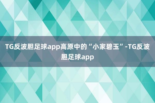 TG反波胆足球app高原中的“小家碧玉”-TG反波胆足球app