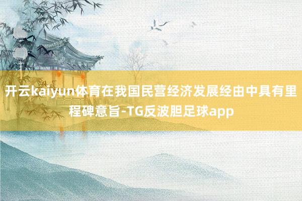 开云kaiyun体育在我国民营经济发展经由中具有里程碑意旨-TG反波胆足球app