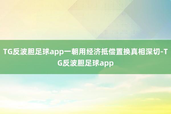 TG反波胆足球app一朝用经济抵偿置换真相深切-TG反波胆足球app