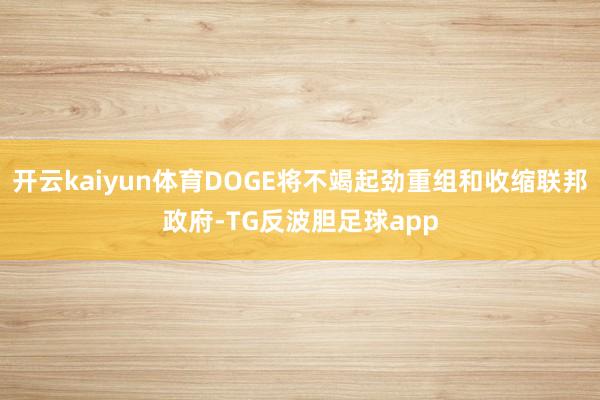 开云kaiyun体育DOGE将不竭起劲重组和收缩联邦政府-TG反波胆足球app