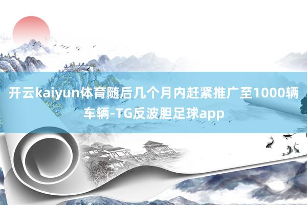 开云kaiyun体育随后几个月内赶紧推广至1000辆车辆-TG反波胆足球app
