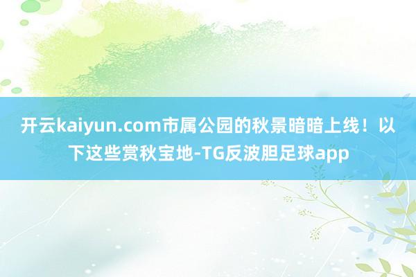 开云kaiyun.com市属公园的秋景暗暗上线！以下这些赏秋宝地-TG反波胆足球app