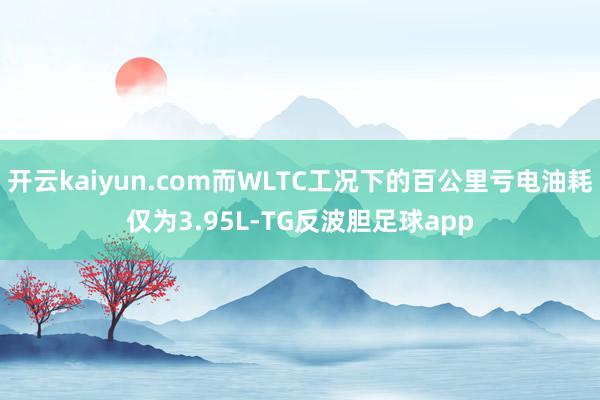 开云kaiyun.com而WLTC工况下的百公里亏电油耗仅为3.95L-TG反波胆足球app