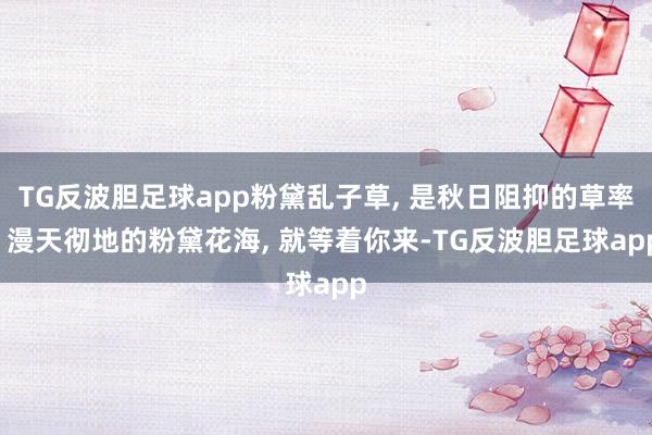 TG反波胆足球app粉黛乱子草, 是秋日阻抑的草率, 漫天彻地的粉黛花海, 就等着你来-TG反波胆足球app